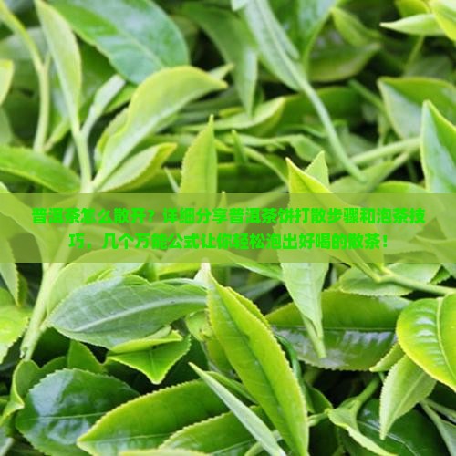 普洱茶怎么散开