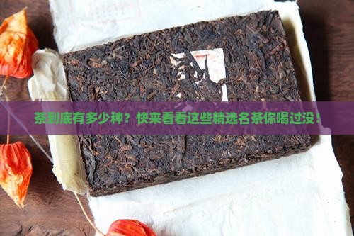 茶有几个品种精选名茶是什么茶