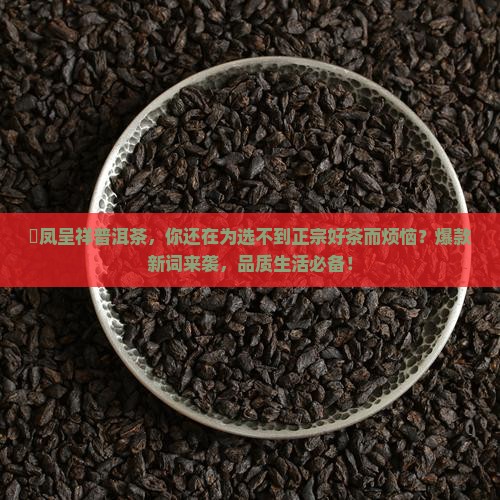 龍凤呈祥普洱茶