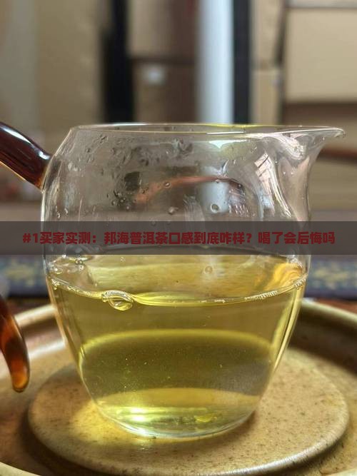 邦海普洱茶怎么样