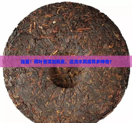 荷叶普洱茶陈皮泡水的功效 荷叶普洱茶陈皮泡水的功效