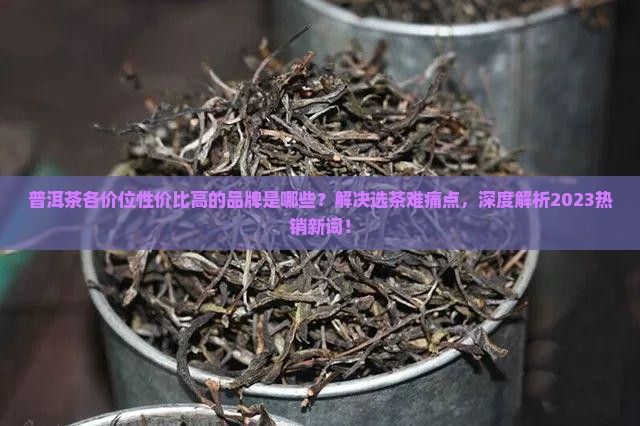 普洱茶各价位性价比高的品牌