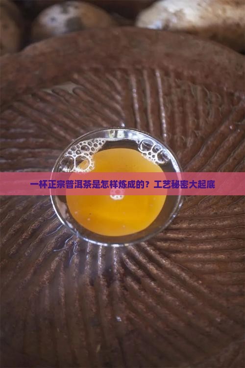 标准普洱茶的工艺要求有哪些