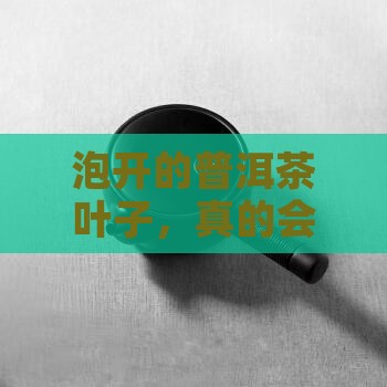 普洱茶泡开后叶子什么样