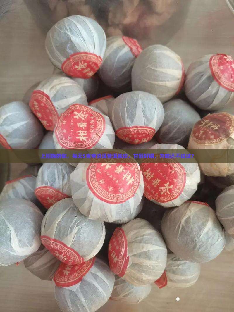 帝泊洱普洱茶珍甘醇普洱5克