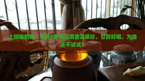帝泊洱普洱茶珍甘醇普洱5克