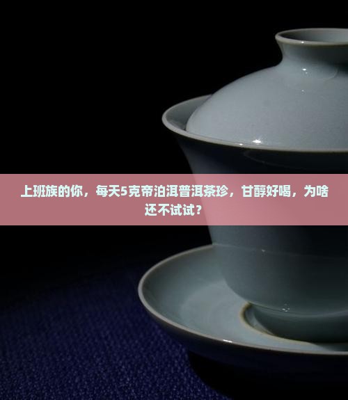 帝泊洱普洱茶珍甘醇普洱5克