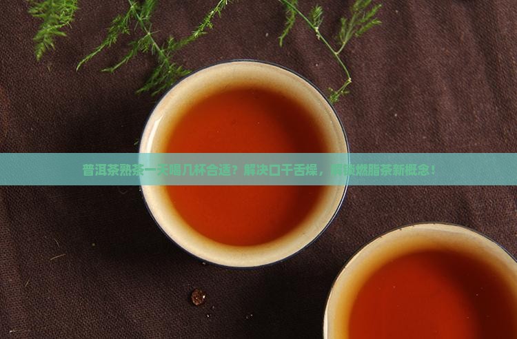 普洱茶熟茶一天喝几杯