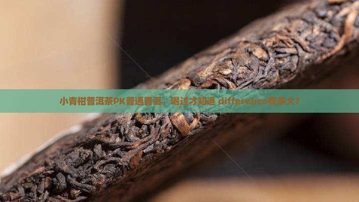 小青柑普洱茶和普通普洱
