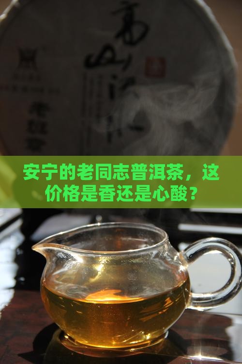 安宁老同志普洱茶价格