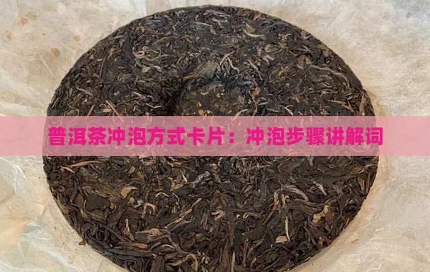 普洱茶冲泡方式卡片