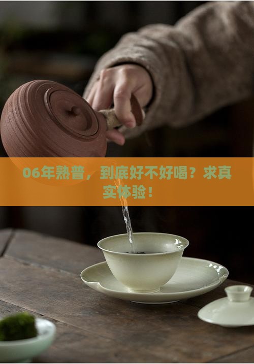 2006年熟普洱茶好泡吗