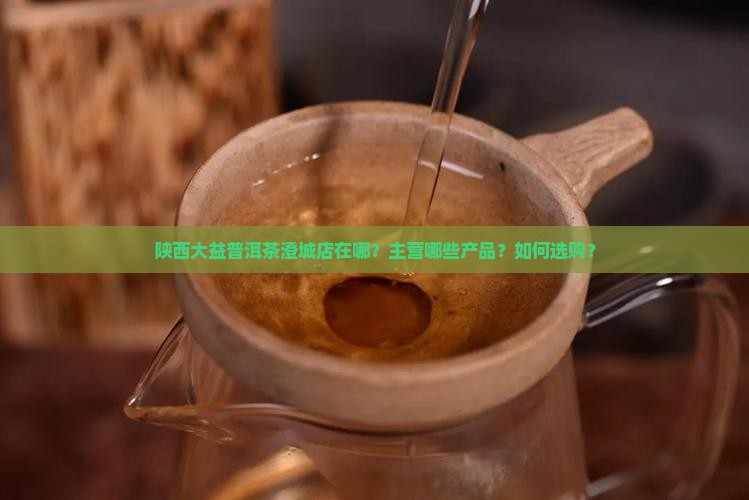 陕西大益普洱茶澄城店
