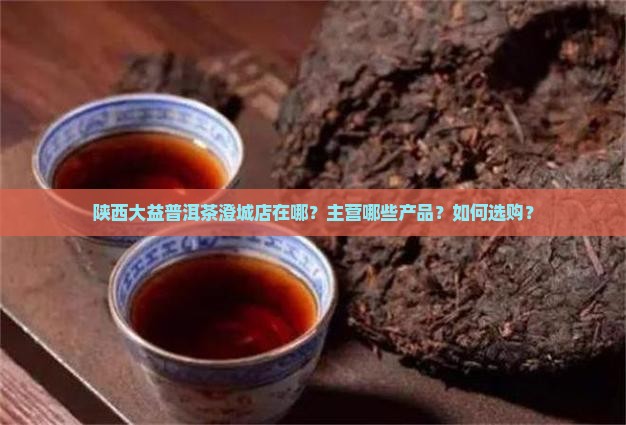 陕西大益普洱茶澄城店