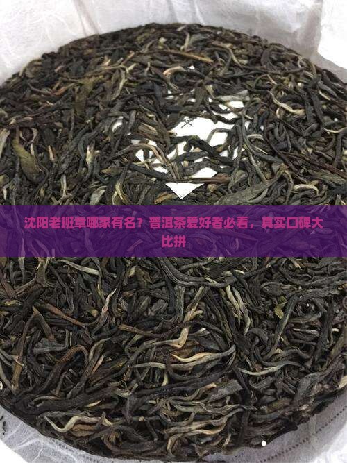 沈阳老班章哪家有名