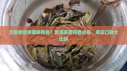 沈阳老班章哪家有名
