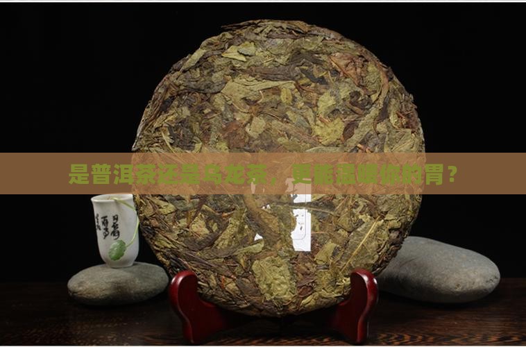 普洱茶还是乌龙茶养胃