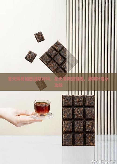 冬天薄荷加普洱茶好吗 冬天薄荷加普洱茶好吗