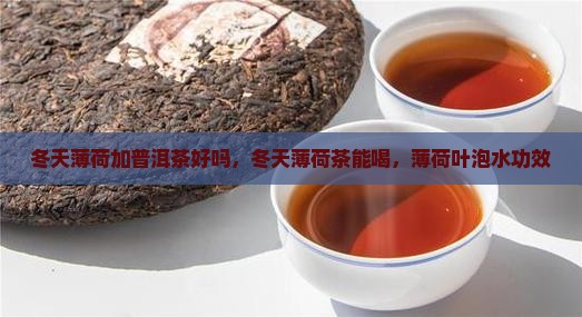 冬天薄荷加普洱茶好吗 冬天薄荷加普洱茶好吗