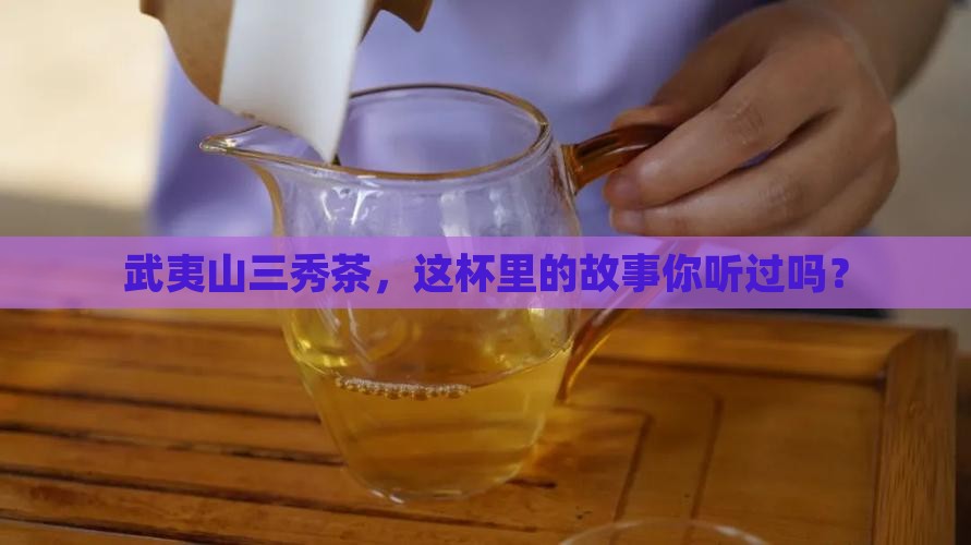 武夷山三秀茶厂