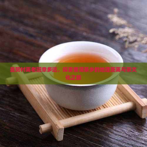 曼贺村离老班章多远