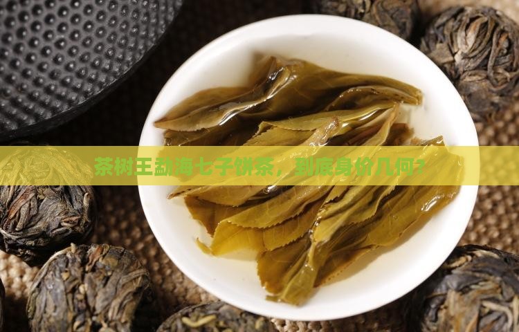 茶树王勐海七子饼茶多少钱