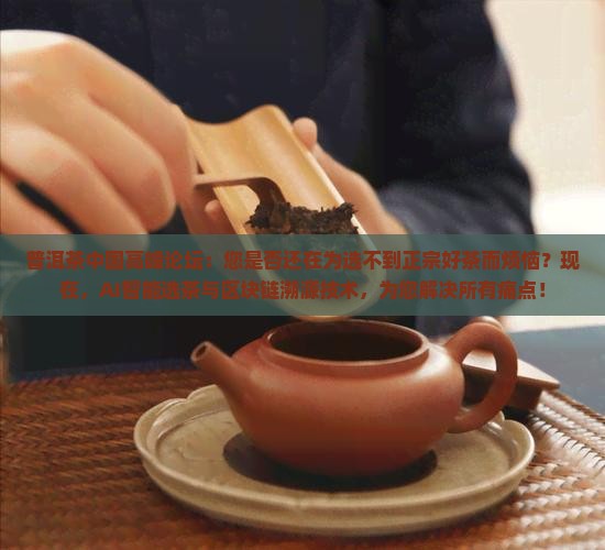 普洱茶中国高峰论坛 普洱茶中国高峰论坛