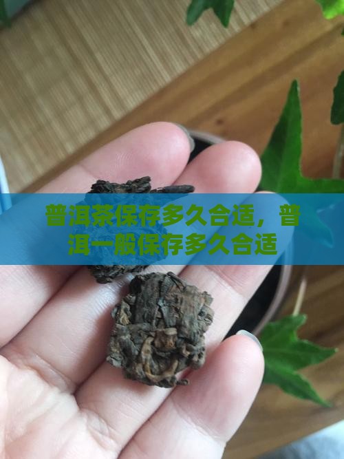 普洱茶保存多久合适