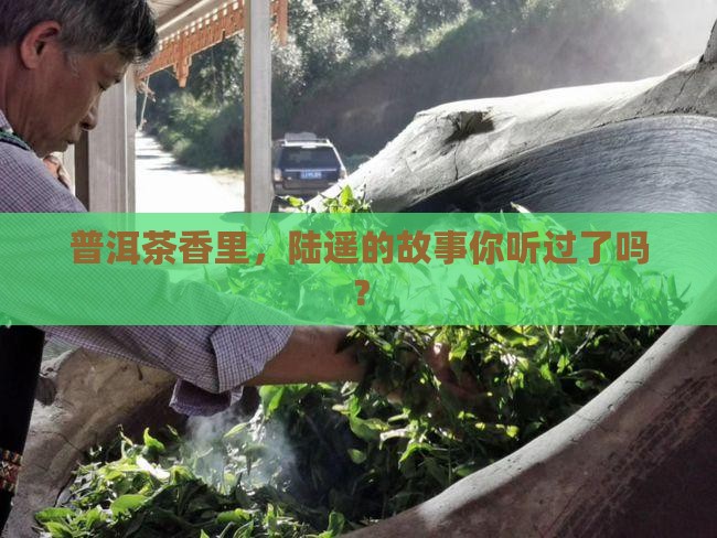 普洱茶同顺祥陆遥