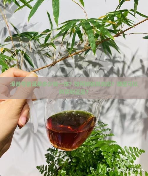泽苍号普洱茶多少钱一饼 泽苍号普洱茶多少钱一饼