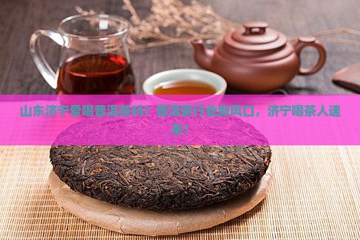 山东济宁爱喝普洱茶吗