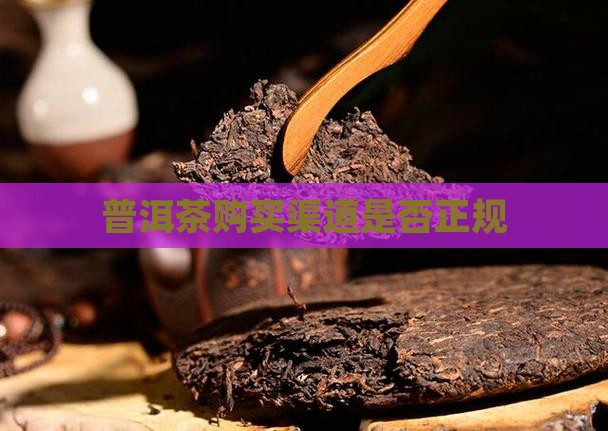 普洱茶购买正规渠道吗