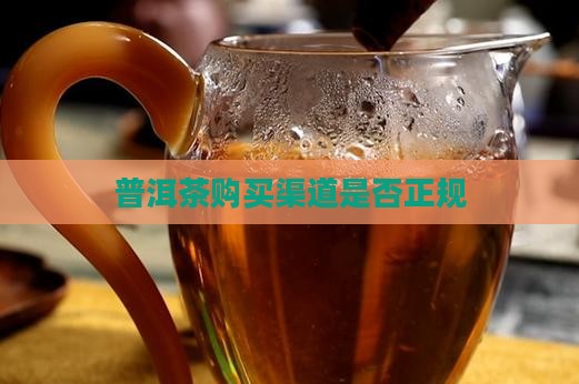 普洱茶购买正规渠道吗