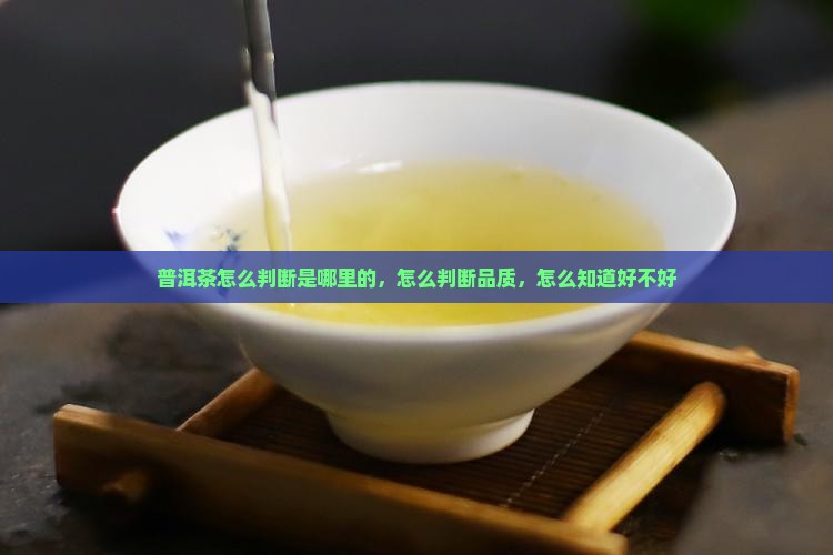 普洱茶怎么判断是哪里的