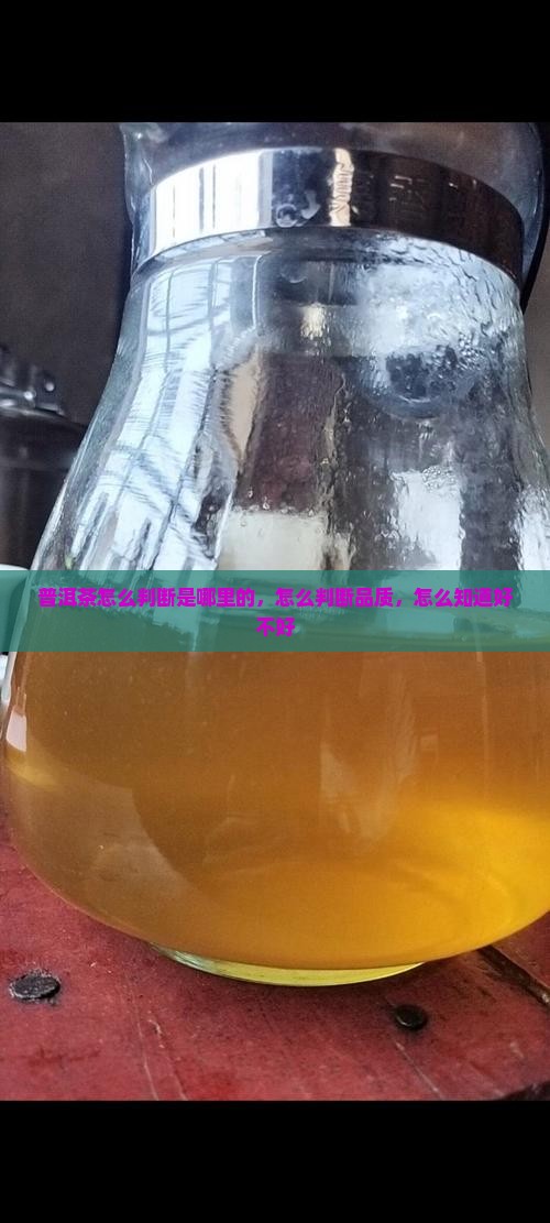 普洱茶怎么判断是哪里的