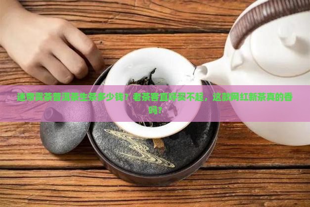 迷帝贡茶普洱茶生茶多少钱