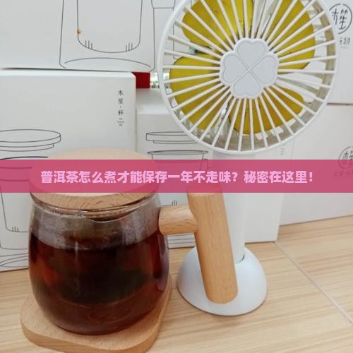 普洱茶怎么煮好保存一年