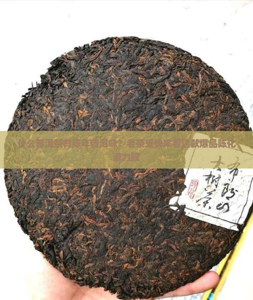 什么普洱茶有陈年普洱味