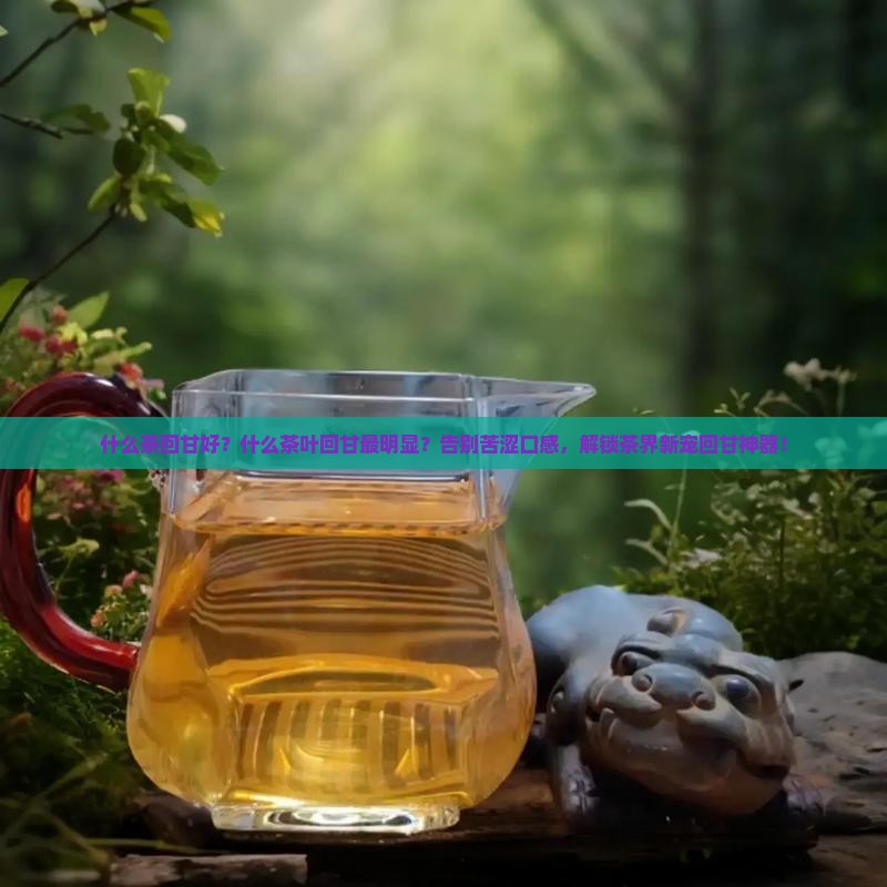 什么茶回甘好什么茶叶回甘最明显