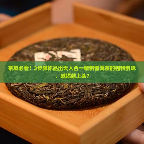 天人合一精制普洱茶