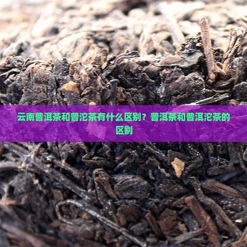 云南普洱茶和普沱茶有什么区别