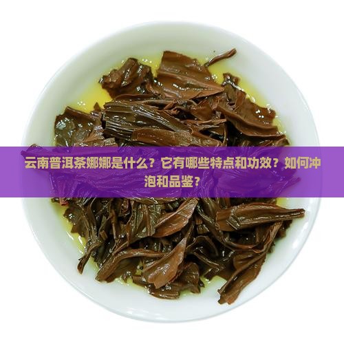 云南普洱茶娜娜