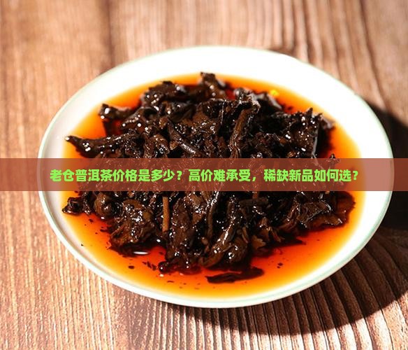 老仓普洱茶价格是多少