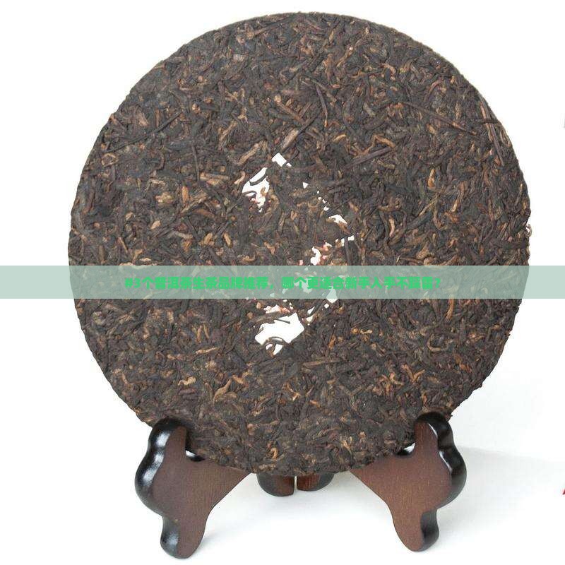 普洱茶生茶买什么品牌