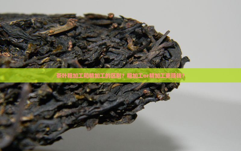 茶叶粗加工和精加工的区别