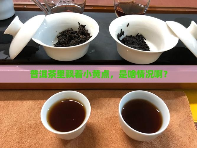 普洱茶有黄色絮状东西 普洱茶有黄色絮状东西