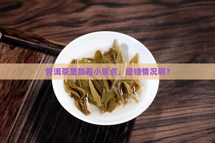 普洱茶有黄色絮状东西 普洱茶有黄色絮状东西