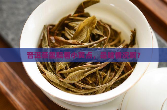 普洱茶有黄色絮状东西 普洱茶有黄色絮状东西