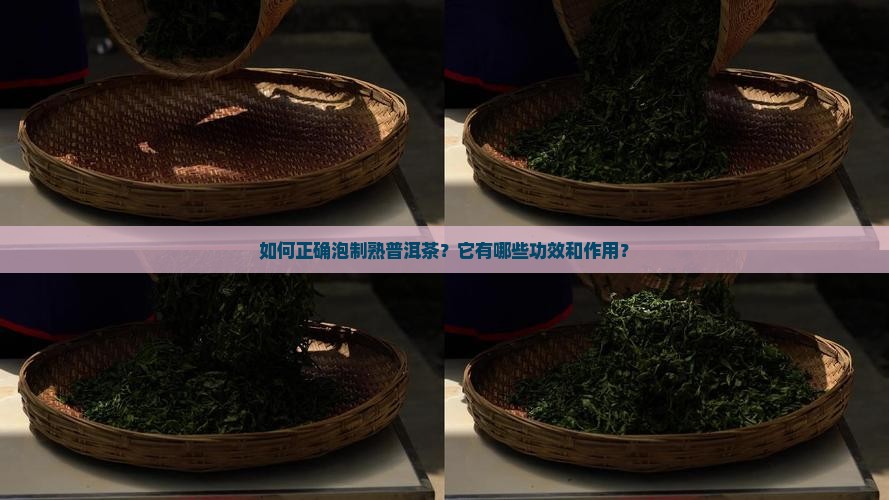 熟普洱茶泡法功效