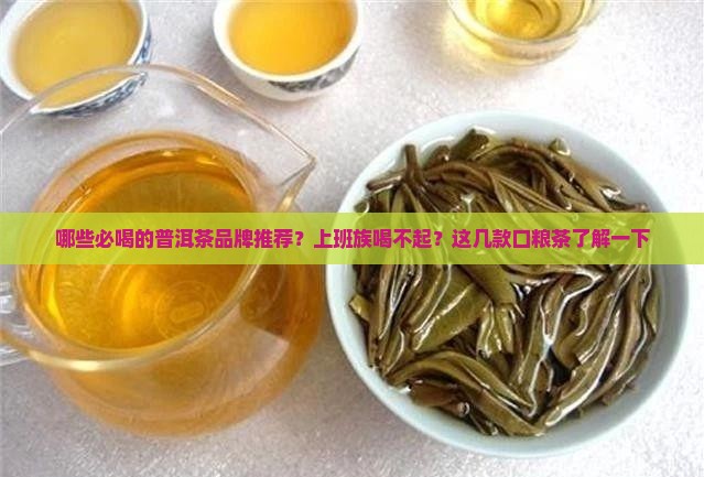 几款必喝的普洱茶品牌推荐